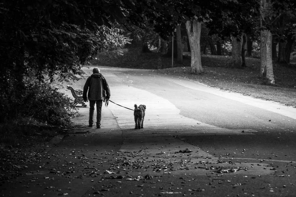 Jason Wells / Shutterstock.com Sefton Park dog friendly liverpool